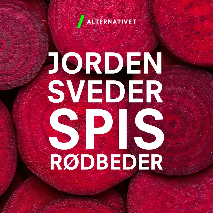 Jorden Sveder Spis Rødbeder (14x14)