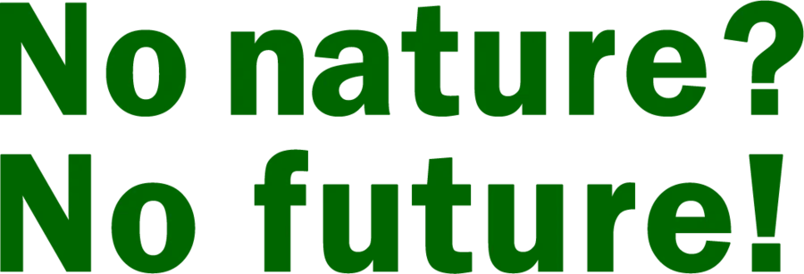 No Nature