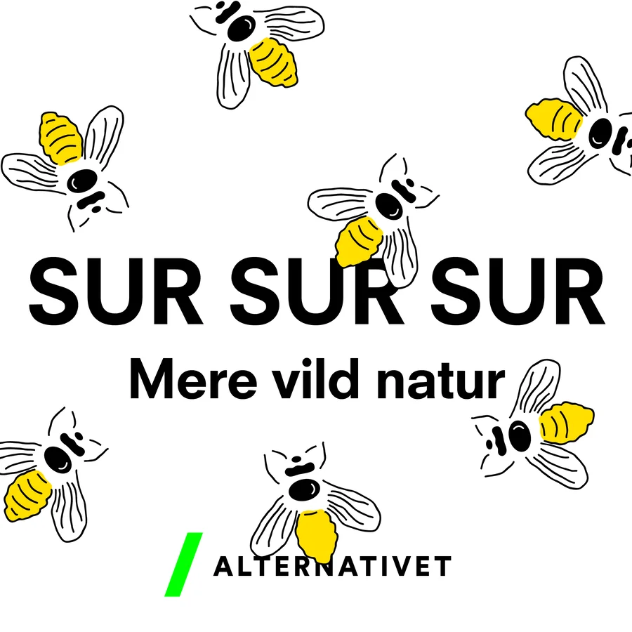 Sur Sur Sur mere vild natur (9x9)